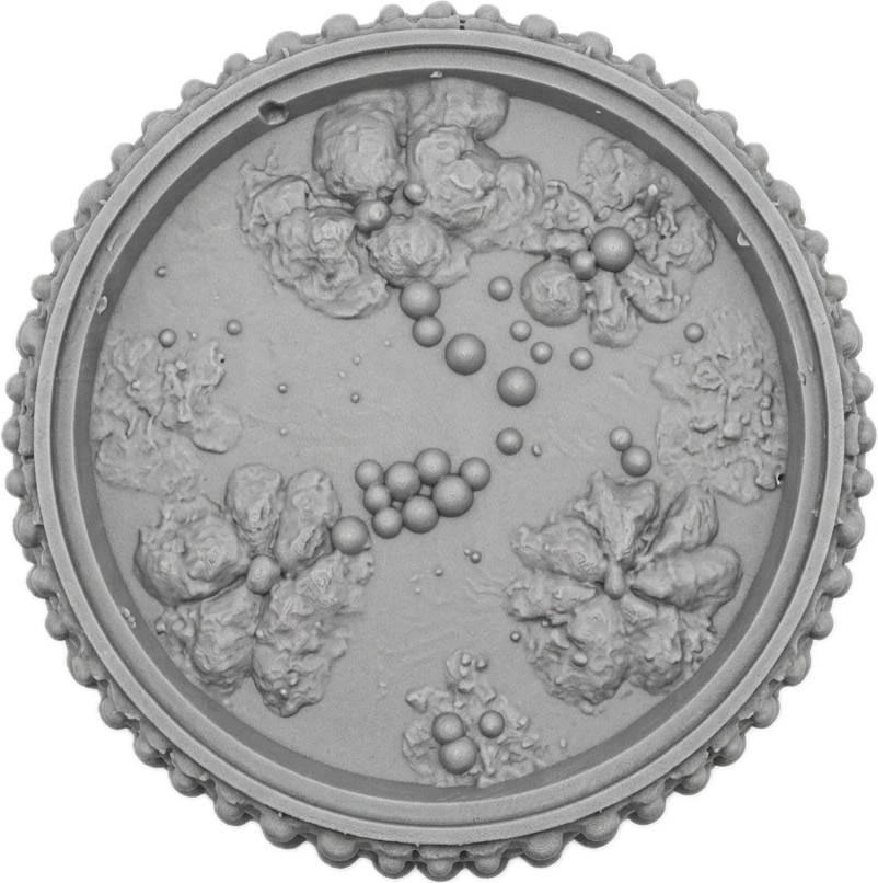 Sculpted petri dish: colonies of microbial growth inside a beaded ceramic rim